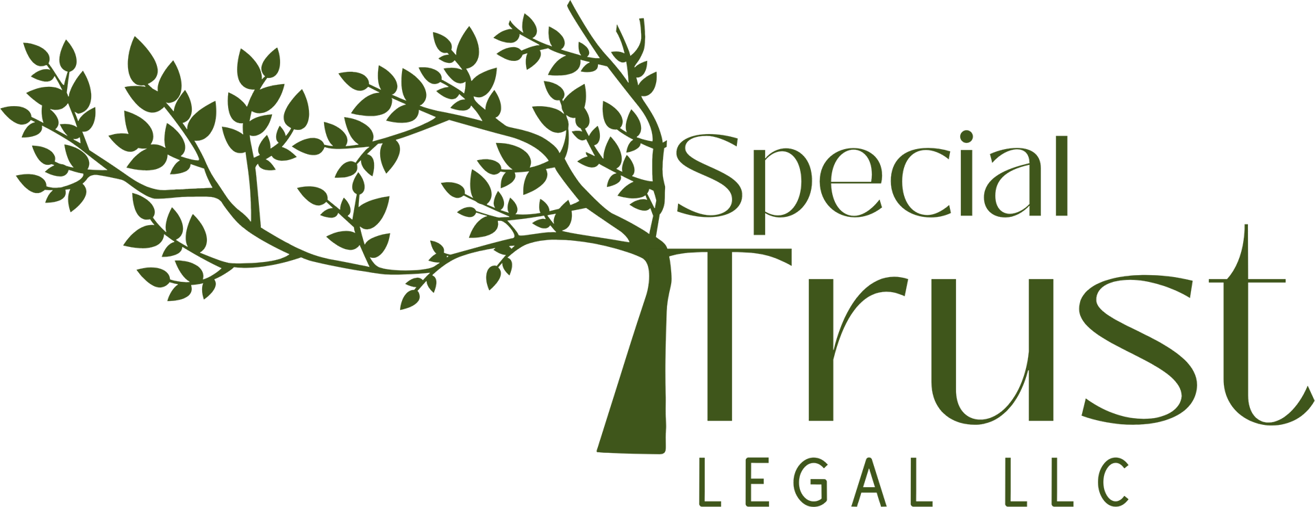 Special Trust Legal LLC